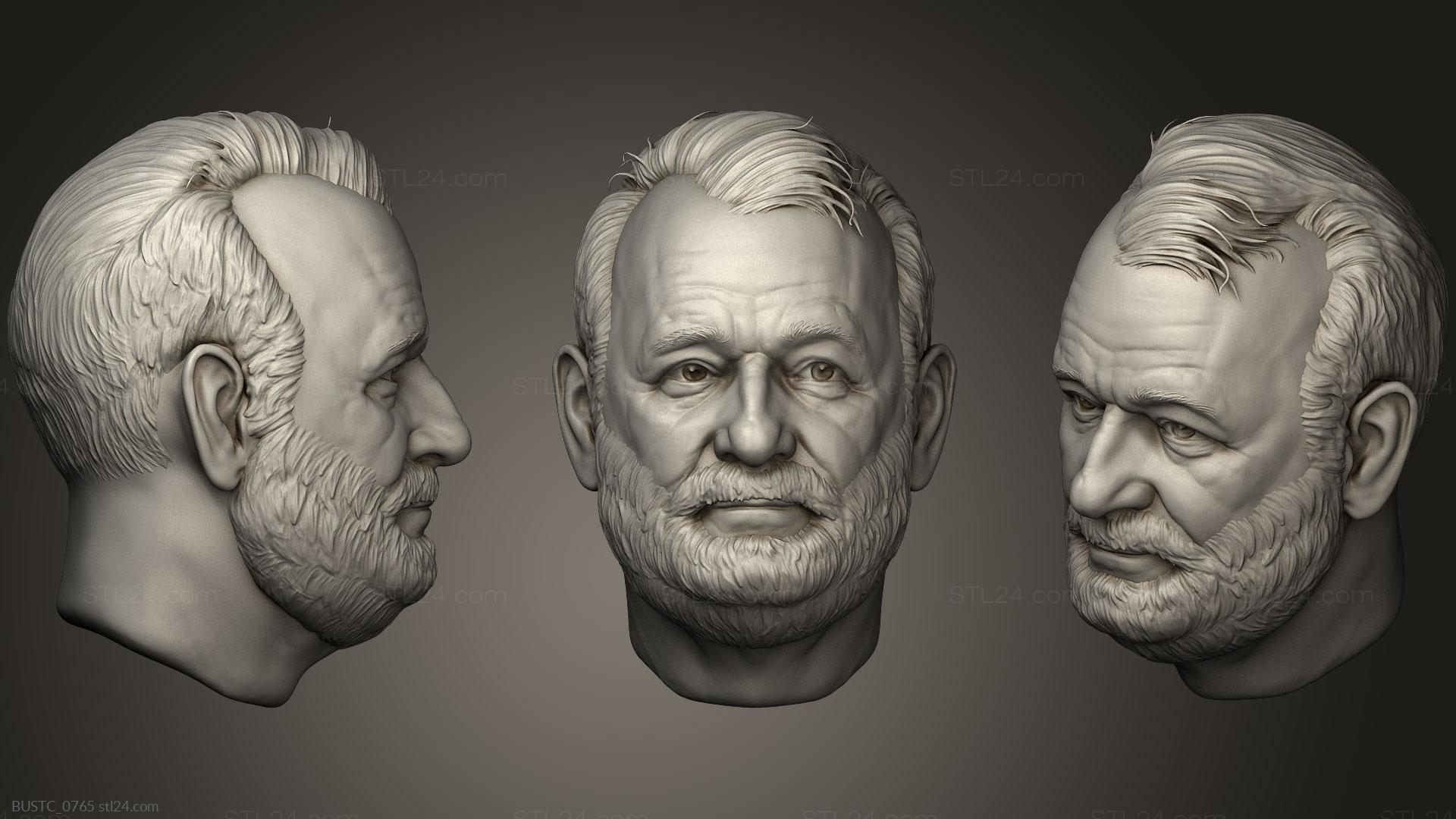 Бюсты и барельефы известных личностей (Билл Мюррей, BUSTC_0765) 3D модель для ЧПУ станка